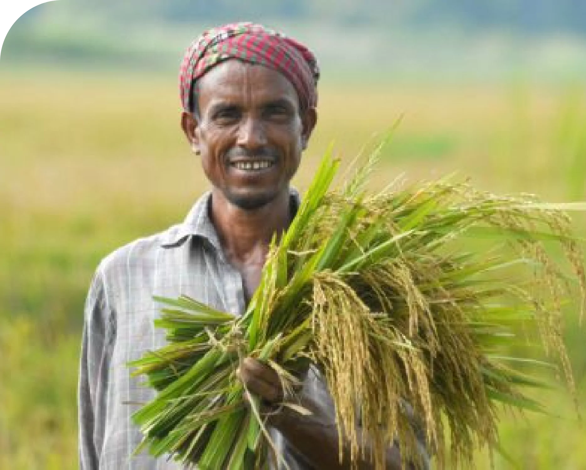 farmer